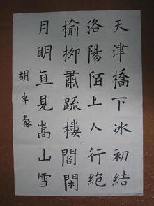 儿童书法视频,传承国粹，笔尖上的艺术之旅